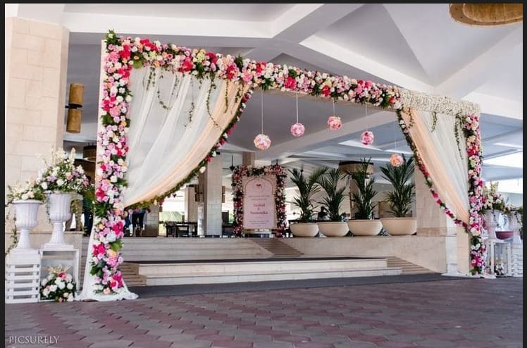 Backdrop 5